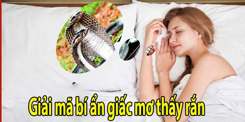 Giải mã bí ẩn giấc mơ thấy rắn