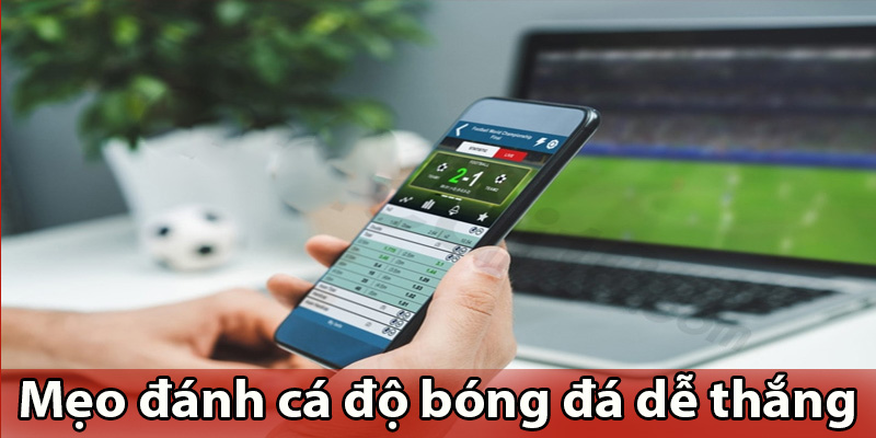 Mẹo đánh cá độ bóng đá dễ thắng